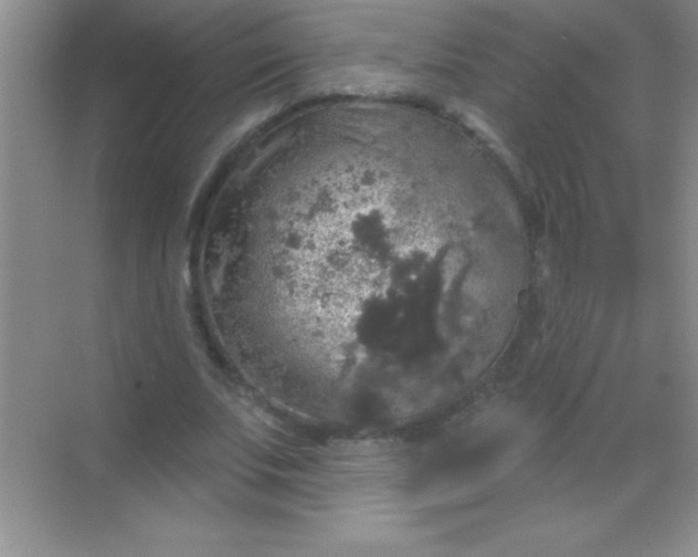 X0000068840679200605191926