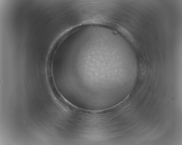 X0000068840680200605191926