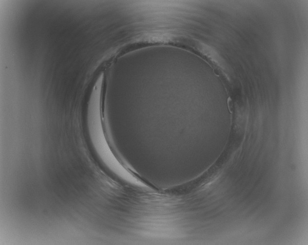 X0000068840681200605191926