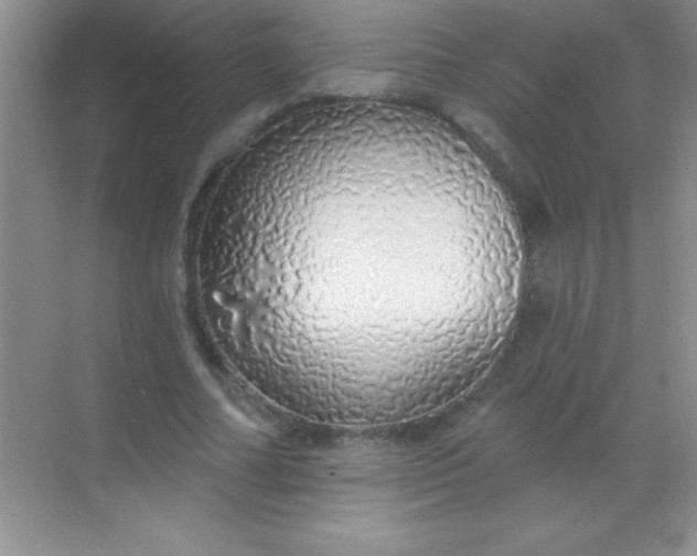 X0000068840682200605191926