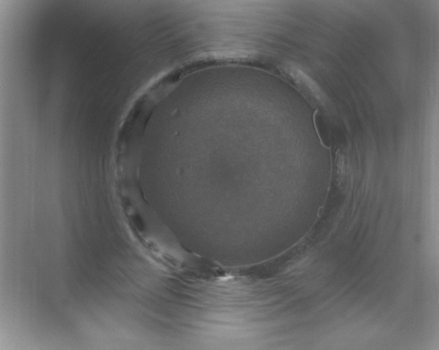 X0000068840684200605191926