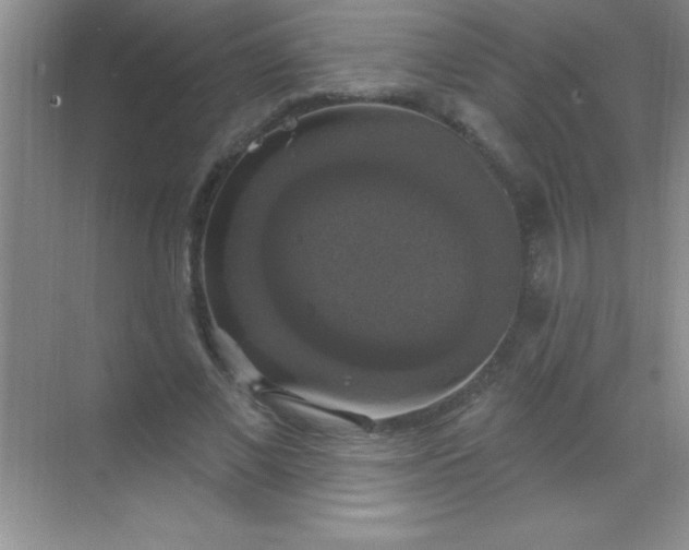 X0000068840685200605191926