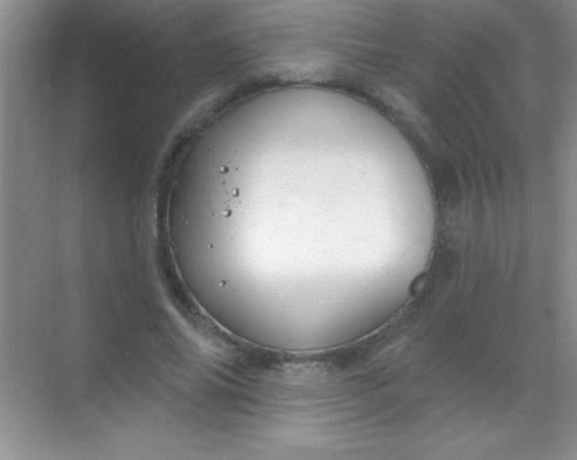 X0000068840686200605191926