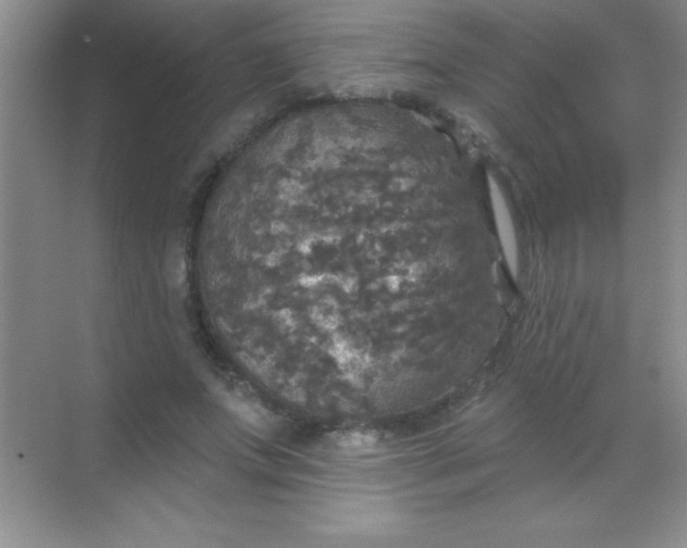 X0000068840687200605191926