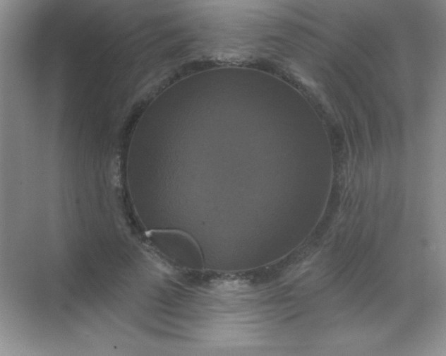 X0000068840689200605191926