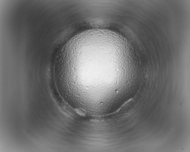 X0000068840690200605191926