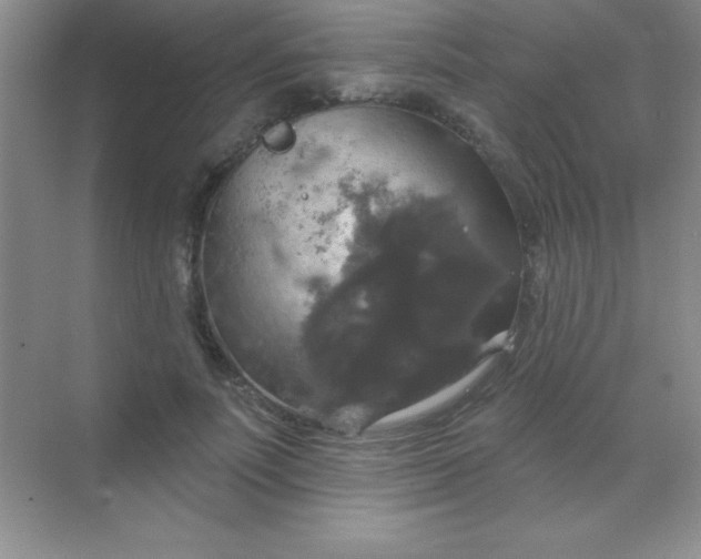 X0000068840691200605191926