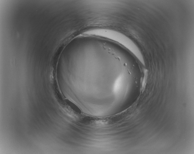 X0000068840692200605191926