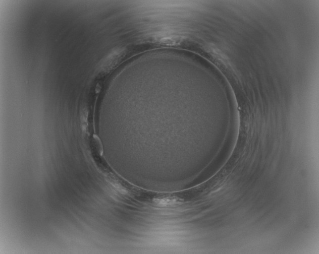 X0000068840693200605191926