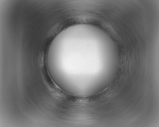 X0000068840694200605191926