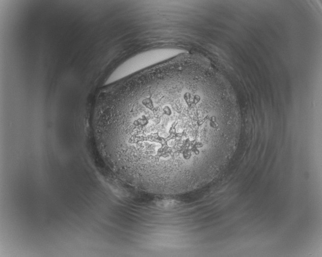 X0000068840695200605191926