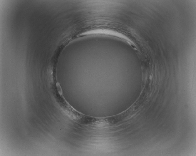 X0000068840696200605191926