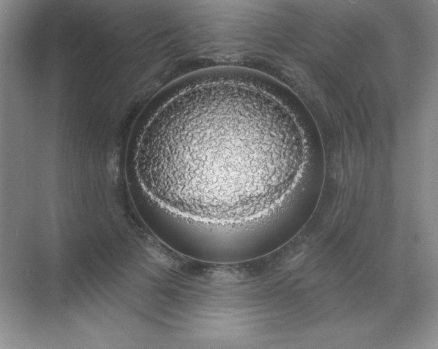 X0000068840697200605191926