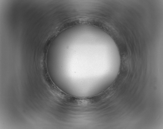 X0000068840698200605191926