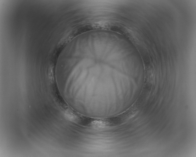 X0000068840699200605191926