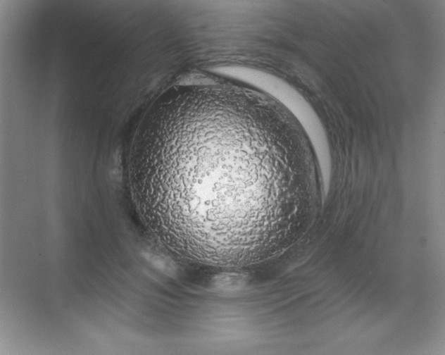 X0000068840700200605191926