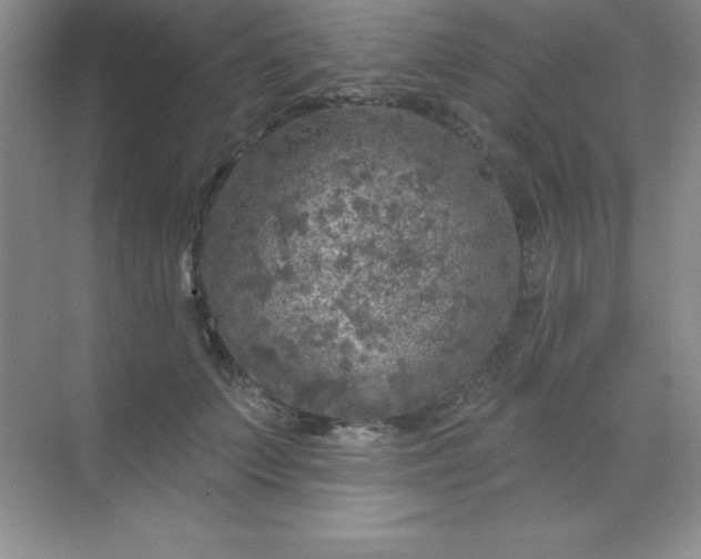 X0000068840703200605191926