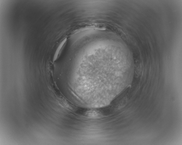 X0000068840704200605191926