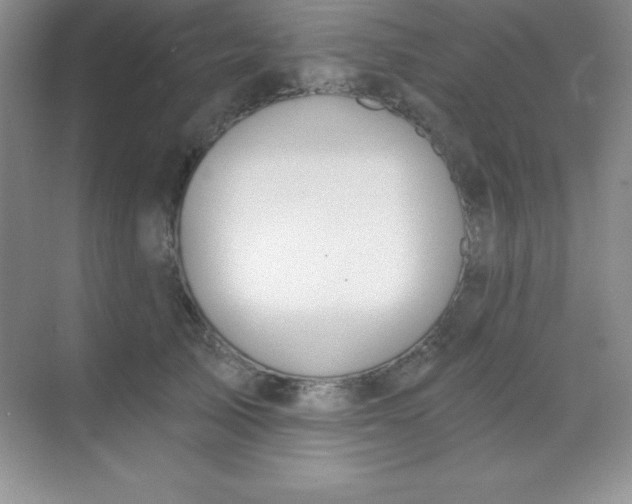 X0000068840705200605191926