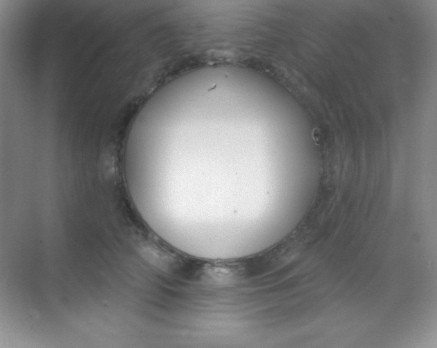 X0000068840706200605191926