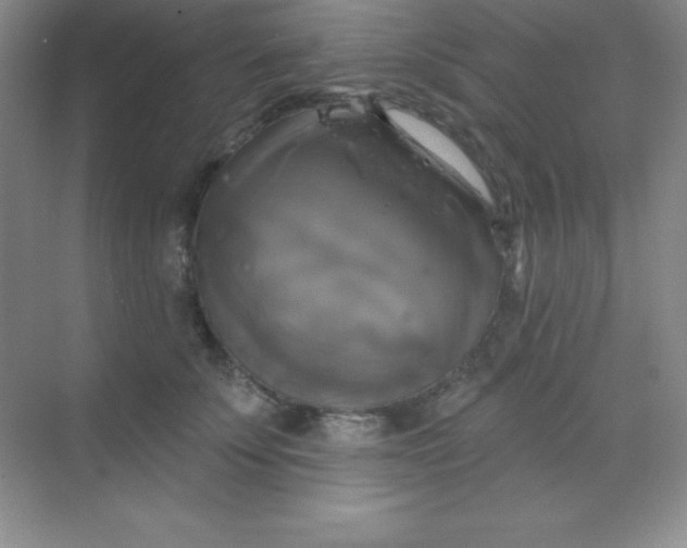 X0000068840707200605191926