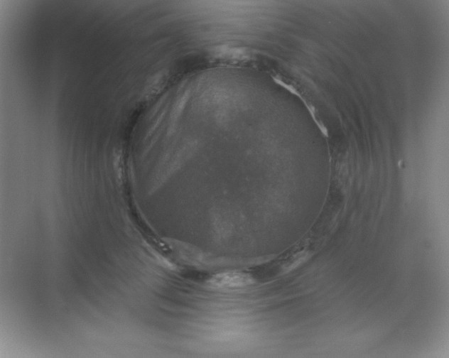 X0000068840708200605191926