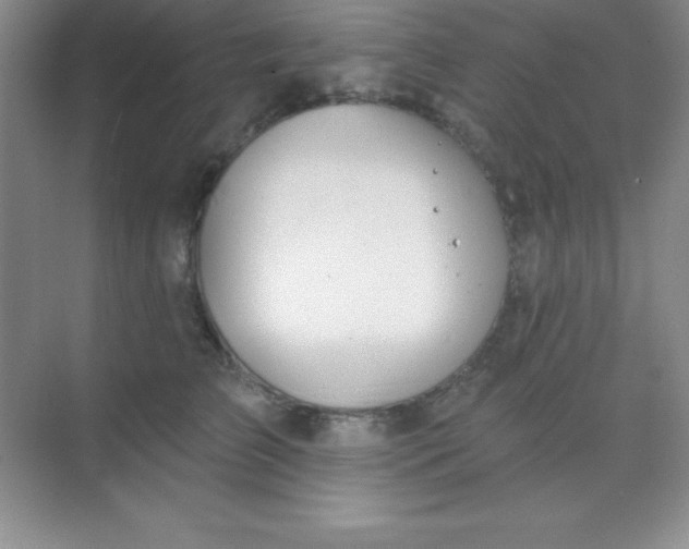 X0000068840709200605191926