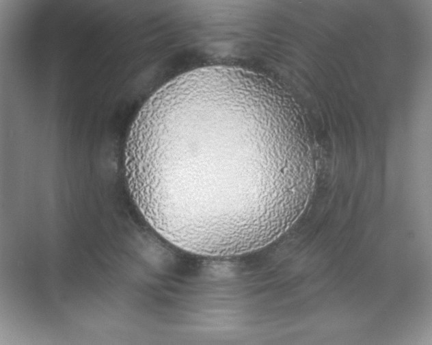 X0000068840710200605191925