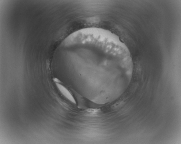 X0000068840711200605191925