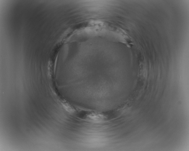 X0000068840712200605191925