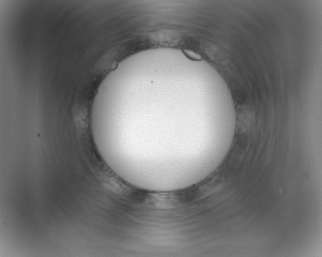 X0000068840713200605191925