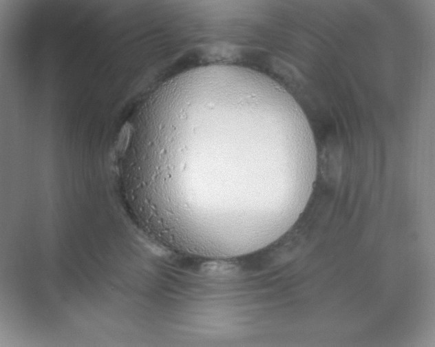 X0000068840714200605191925