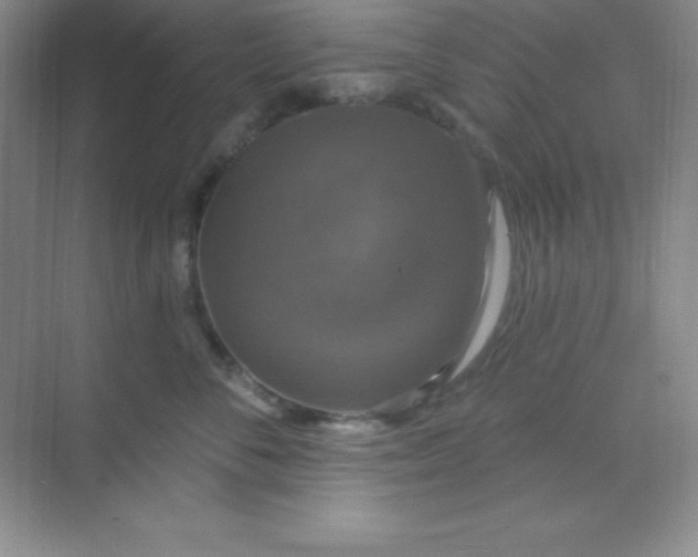 X0000068840716200605191925