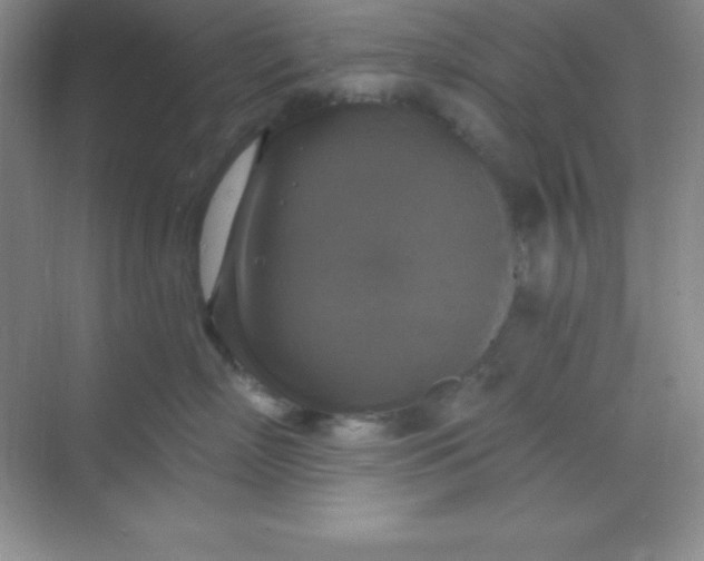 X0000068840718200605191925