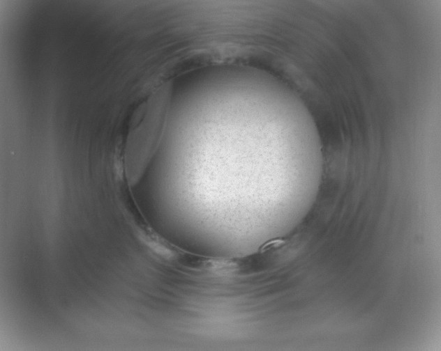 X0000068840719200605191925