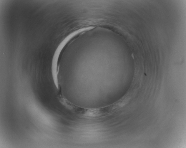 X0000068840720200605191925