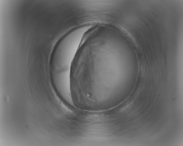 X0000068840721200605191925