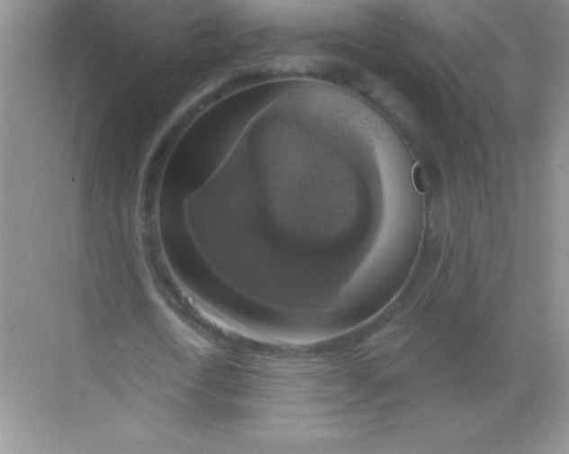 X0000068840722200605191925