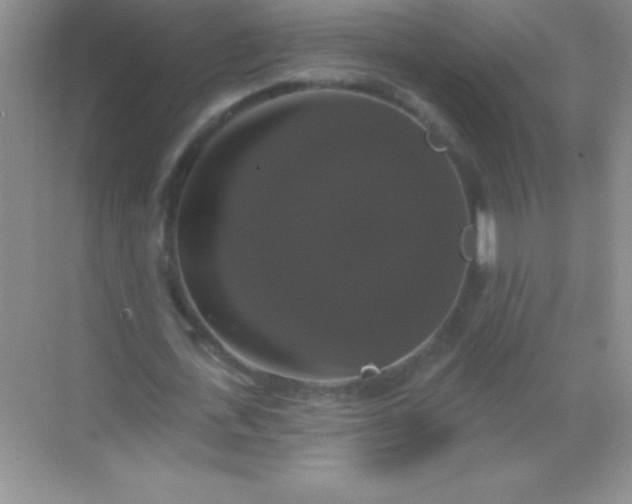 X0000068840723200605191925