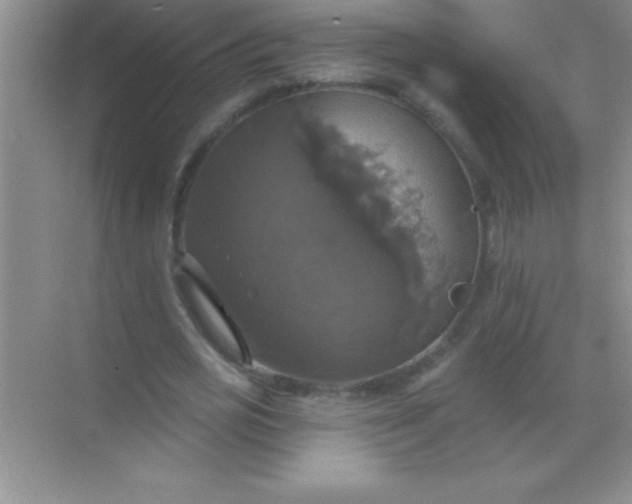 X0000068840725200605191925