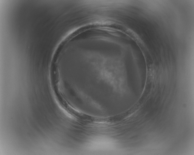 X0000068840726200605191925