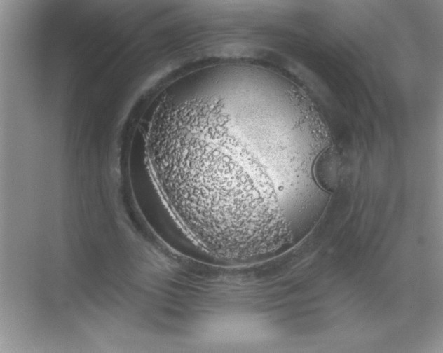 X0000068840727200605191925