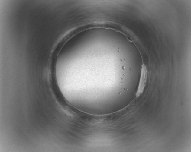 X0000068840728200605191925