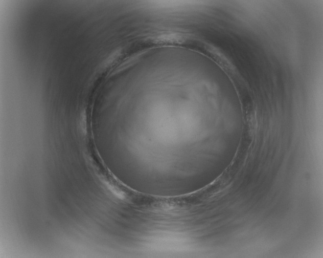 X0000068840729200605191925