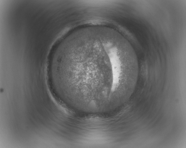 X0000068840730200605191925