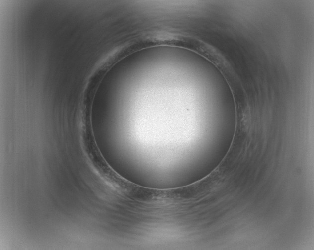 X0000068840732200605191925