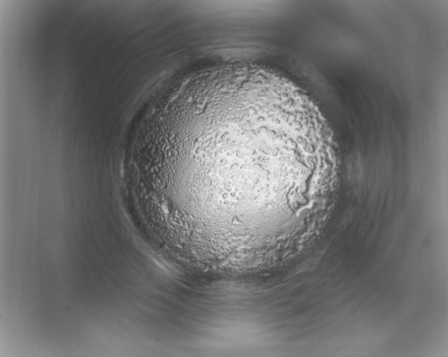 X0000068840733200605191925