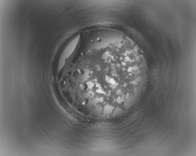 X0000068840734200605191925