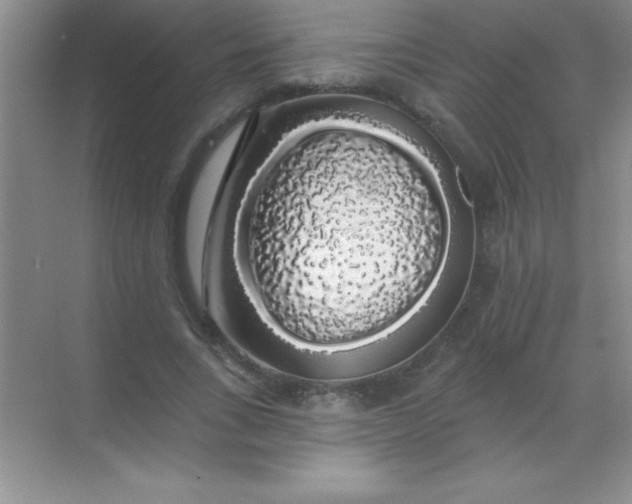 X0000068840735200605191925