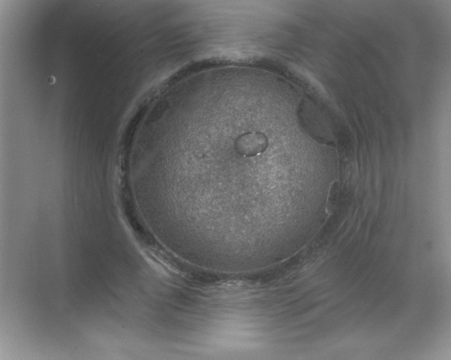 X0000068840736200605191925